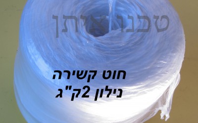 1 (6)